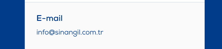 Bize Ulasin E-mail